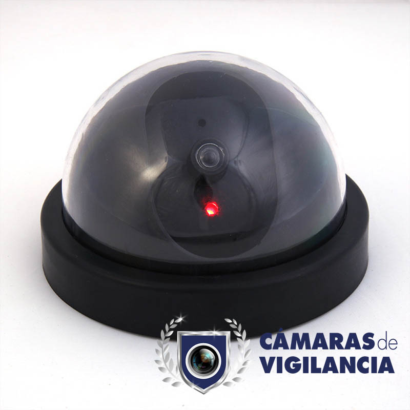 camara-falsa-domo-con-luz-.jpg