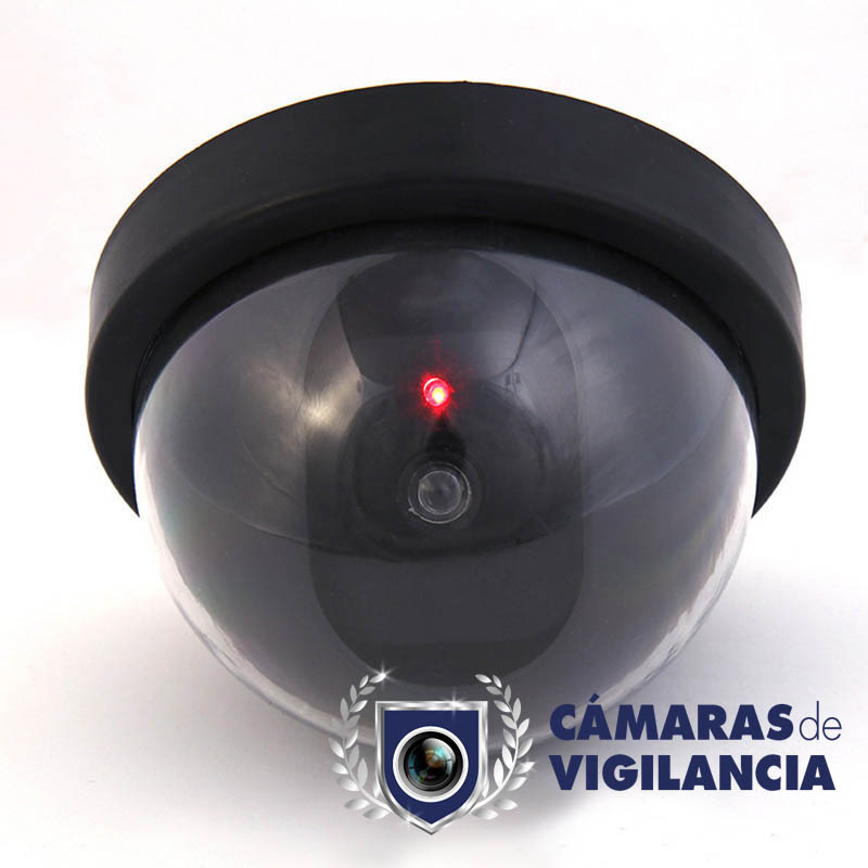 camara-falsa-domo-con-luz.jpg