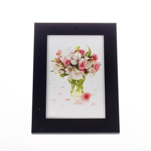 Marco fotos con cámara espía en HD