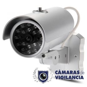 Cámaras falsas